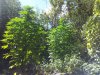 2013-08-31 13.51.08.jpg