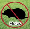 Moles.jpg