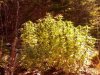 IMG_20130917_110749.jpg
