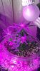 2013-09-23_16-55-32_329.jpg