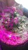 2013-09-23_16-56-22_337.jpg