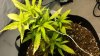 20131002_134532.jpg