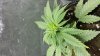 20131004_110405.jpg
