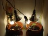 setup 11 days 2.jpg