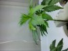 20131018_115140.jpg