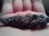 Purple Voodoo#1 curing. 10-19.jpg