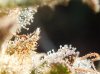 DSCN6596.jpg
