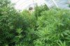 greenhouse 2011 028.jpg