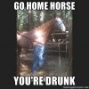 go-home-you-are-drunk-meme-funny-pictures6.jpg