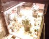 IMG00233.jpg