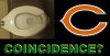 bearstoilet.jpg