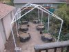 12-3-2013 stripped for winter 001.jpg