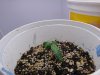 DSC00877.jpg