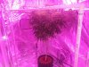 20131212_164403.jpg