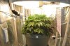 Grow Tent setup 3 Dec 2013.jpg