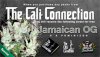 Cali-Connection-Xmas-2013-1.jpg