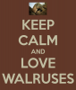 keep-calm-and-love-walruses-5.png