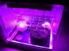 01.05.14 BV SCROG Box 3.jpg