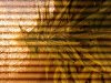 20140116_071621.jpg
