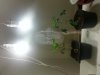 20140120_083823.jpg