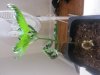 20140120_083728.jpg