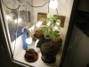 grow journal 037.jpg