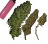 compare-1st-bud-picked2-800x.jpg