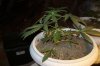 11-19-08 032.jpg
