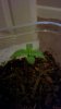 2014-02-20_07-46-48_339.jpg