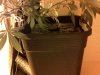IMG-20140225-00037.jpg