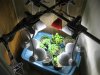 4 weeks old!.jpg