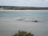 QUEENSCLIFF 016.jpg