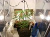 grow journal 050.jpg