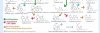 THCA to CBN from UVB irradiation.jpg