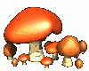 mushrooms_happy_md_clr.gif