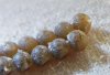 stinkbug eggs day 8b.jpg