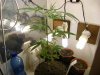grow journal 055.jpg