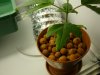 DSC00612.JPG