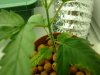 DSC00620.JPG