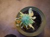 100_1073.jpg