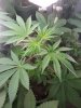 The Babies! 089.jpg
