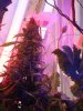 DSC04749.jpg