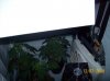 000_0003.jpg