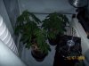 000_0004-1.jpg