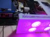 Evergrow 8 spots LED grow light another 4 spots on 95.8W at 220V.JPG