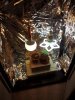 Bagseeds day6.jpg