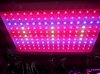 450w led.jpg