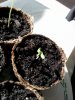 20140606_173143.jpg