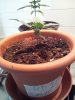 20140610_163038.jpg