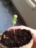 20140613_201833.jpg